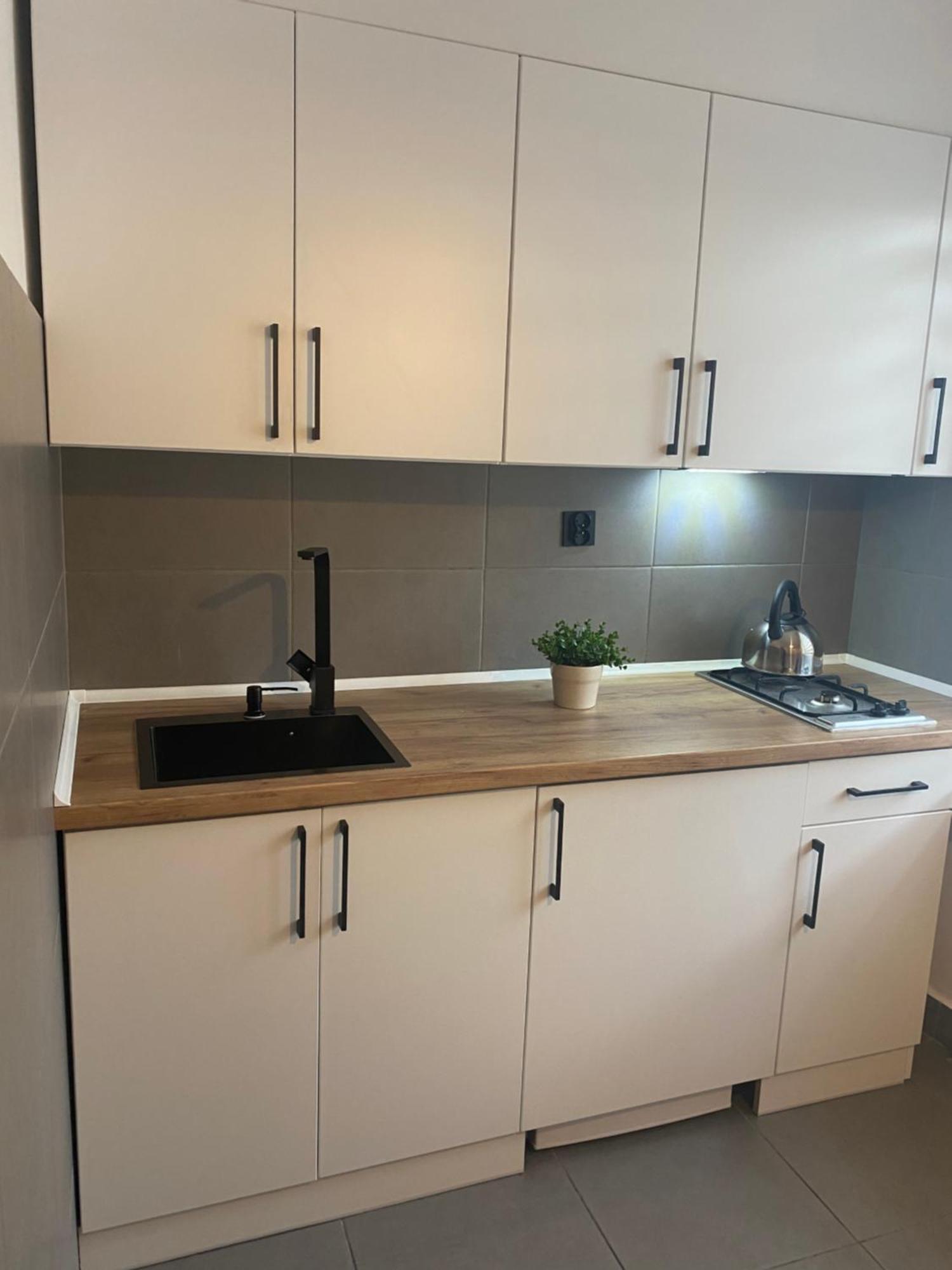 Apartamenty Sloneczna Chata زاكوباني المظهر الخارجي الصورة